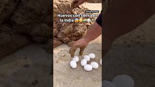 Mi Primer día de Turista Probando la comida callejera con tierra en la India 😳😱🥚🇮🇳 [upl. by Matty]