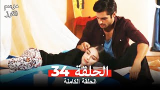 موسم الكرز الحلقة 34 دوبلاج عربي [upl. by Sitruk199]