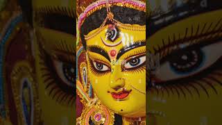 Mahalaya 2024minivlog shortsvideo trending mahalaya [upl. by Dewar]