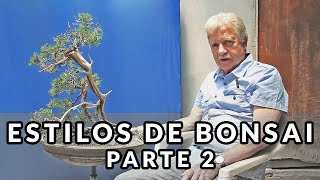 Estilos de Bonsai  Parte 2 [upl. by Dunton143]