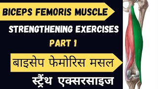 BICEPS FEMORIS MUSCLE strengthening exercisesstrengthening exercises BICEPS FEMORIS MUSCLE K liye 🦵 [upl. by Kreis190]