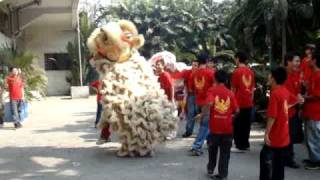 Kolkata Chinese New Year 2009 in Tangra ChinaTown [upl. by Ardnaek]