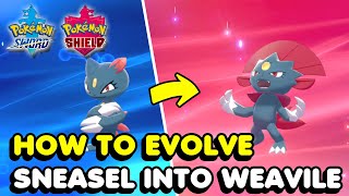 How To Evolve Sneasel Into Weavile In Pokemon Sword amp Shield [upl. by Bedelia]