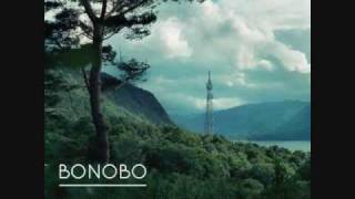 Bonobo  All In Forms [upl. by Wil892]