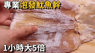 泡發幹魷魚，10個人9個都做錯了！30年大廚教你一招，1個小時就能泡發5倍大，乾淨又省事丨養之道 [upl. by Eiuol]