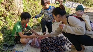 Homeless boy harvests palm fruits and sells them to get money to fix his hair and buy bananas to eat [upl. by Aramo204]