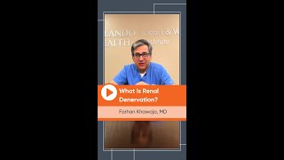 What is renal denervation [upl. by Ardnekan946]