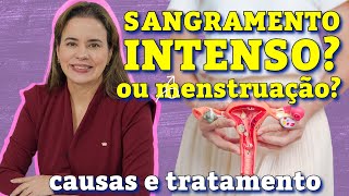 Desvendando os Mistérios da Menstruação Intensa Causas e Soluções [upl. by Llevra969]