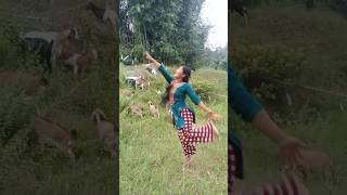 New nepali song shot video nepali dance [upl. by Aros789]