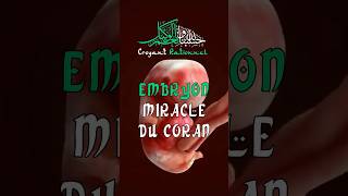 Embryon Miracle scientifique du CORAN [upl. by Tabbi665]