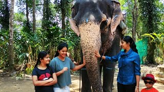 Thekkady Elephant Safari [upl. by Zales]