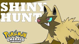 Shiny Poochyena at 31 Encounters  Pokemon Emerald Shiny Badge Quest Shiny 2 [upl. by Martin926]