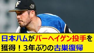 日本ハムがバーヘイゲン投手を獲得！3年ぶりの古巣復帰【プロ野球、なんJ、なんG反応】【2ch、5chまとめ】【北海道日本ハムファイターズ、助っ人、MLB、メジャー、大リーグ、新外国人、新庄監督】 [upl. by Ennairol977]