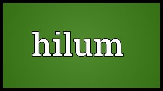 Hilum Meaning [upl. by Agosto]