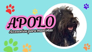 Accesorios para Perros y Gatos [upl. by Kenlee834]