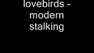 lovebirds  modern stalking [upl. by Faustus84]