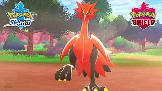 How to catch Galarian Zapdos in Pokemon Sword and Shield Crown Tundra [upl. by Dimond]