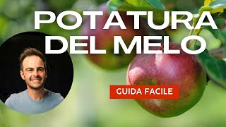 Potatura del melo metodo semplice per potare il melo regole e raccomandazioni da seguire [upl. by Carolle]