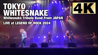 【4K】Tokyo WhiteSnake The No1 WhiteSnake tribute band in Japan ／Legend of Rock 2024 [upl. by Whitcomb]