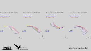 Flappingwing aeroelastic analysis considering wing flexibility [upl. by Arait]