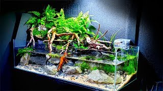 EPIC 25ft AQUA TERRARIUM  My Biggest Yet How To Aquascape No co2 No Ferts No Heater [upl. by Adele]