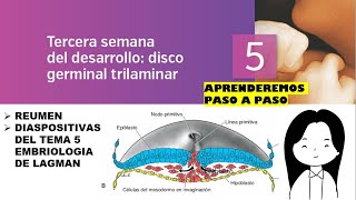 TEMA 5 EMBRIOLOGIA TERCERA SEMANA DEL DESARROLLO DISCO GERMINAL TRILAMINAR [upl. by Mackenie]