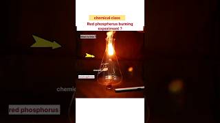 red phosphorusred phosphorus burning experimenthow did red phosphorus burnchemicalclassshorts [upl. by Eiuol]