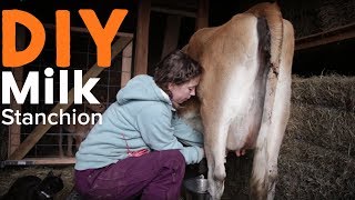 Easy to Build DIY Milk Stanchion for Milking the Family Cow [upl. by Gweneth710]