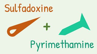 Sulfadoxine pyrimethamine Combination for Malaria [upl. by Eronaele360]