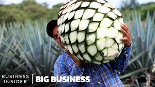 Mezcal Is The FastestGrowing Liquor In The US Why Arent Mexican Producers Cashing In [upl. by Tiraj]