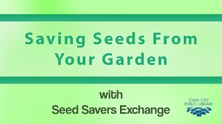 How to Save Seeds From Your Own Garden with Seed Savers Exchange [upl. by Gilbertina301]