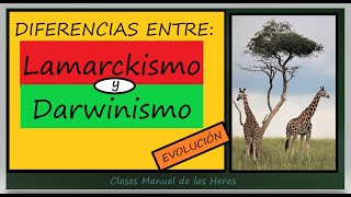 Diferencias entre LAMARCK y DARWIN Caracteres Adquiridos y Selección Natural Teorías Evolución [upl. by Nanam166]