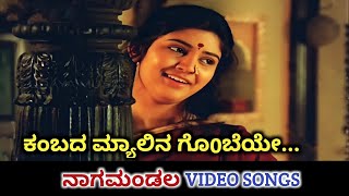 Kambada Myalina Gombeye  Nagamanda  HD Video  Prakash Rai  Vijayalakshmi  Sangeetha Katti [upl. by Sams]