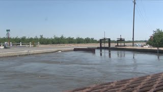 Central Valley irrigation districts capturing runoff to protect against floods [upl. by Levon564]