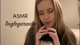 ASMR TINGLEGARANTIE mit gefrorenem Windschutz ✨  RelaxASMR [upl. by Siloa98]