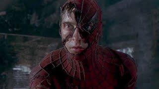 El Hombre Araña película completa en Español [upl. by Beutler]