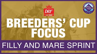 Breeders’ Cup Focus  Filly amp Mare Sprint 2024 [upl. by Terrab]