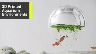 These Minimalist Aquariums Are Filled With Beautiful 3DPrinted Sculptures [upl. by Anelrahc]