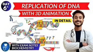 replication of dna biochemistry  dna replication in prokaryotes amp eukaryotes biochemistry [upl. by Heurlin]