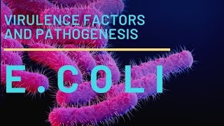 Escherichia coli or E coli  morphology virulence factors and pathogenesis part 1 [upl. by Anah628]