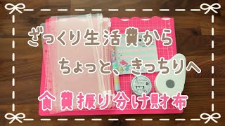 ざっくり家計簿→ちょっとだけ、きっちりへ家計簿40代子育て終わり [upl. by Haiacim]