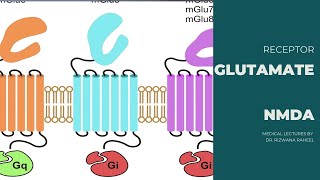 Glutamate Receptors  NMDA receptors  Lippincott Pharmacology  Ketzung [upl. by Beaulieu]