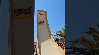 Boomerang  Acquafollie Caorle acting waterpark waterslide themepark acquafollie [upl. by Keryt]