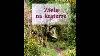 Ziele na kraterze  Melchior Wańkowicz  12 Audiobook PL [upl. by Kurt804]