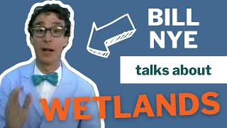 Fabulous Wetlands with Bill Nye The Science Guy 1989 [upl. by Aloisius204]