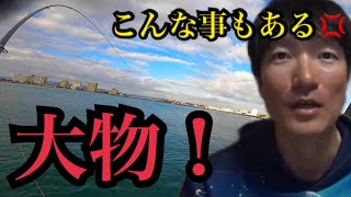 浜名湖に釣りに行ったら予想外の展開で爆釣から大物が… [upl. by Oibaf]