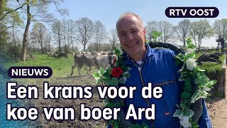 Koeien versieren een heuse Almauftrieb voor de koeien van boer Ard  RTV Oost [upl. by Stoffel]