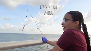 Fishing in Biscayne Bay we got kicked out [upl. by Eitsyrk]