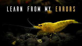 6 Common Shrimp Keeping Mistakes You Can AVOID [upl. by Nybor]