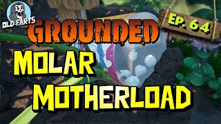 Grounded Ep 64  Molar Motherload Multiplayer [upl. by Valentin]